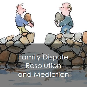 Family Dispute Resolution