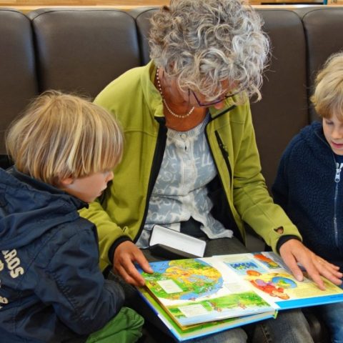 Grandmother reading to 2 boys