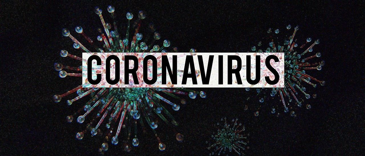 Coronavirus Covid 19 Image by Olga Lionart from Pixabay