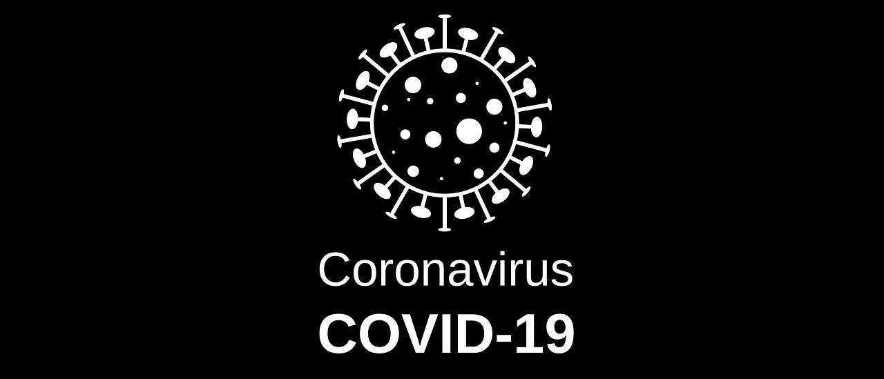 Coronavirus / COVID 19