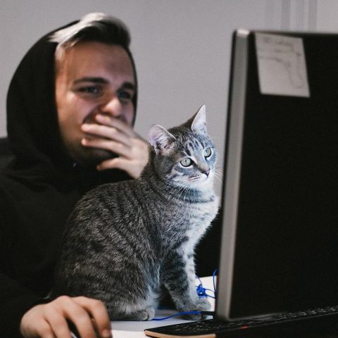 Man and cat