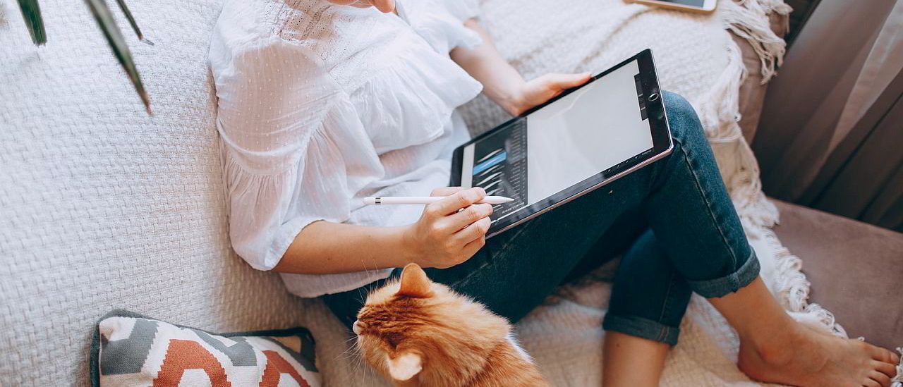 Work from home - woman working on laptop with cat