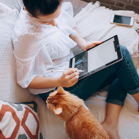 Work from home - woman working on laptop with cat