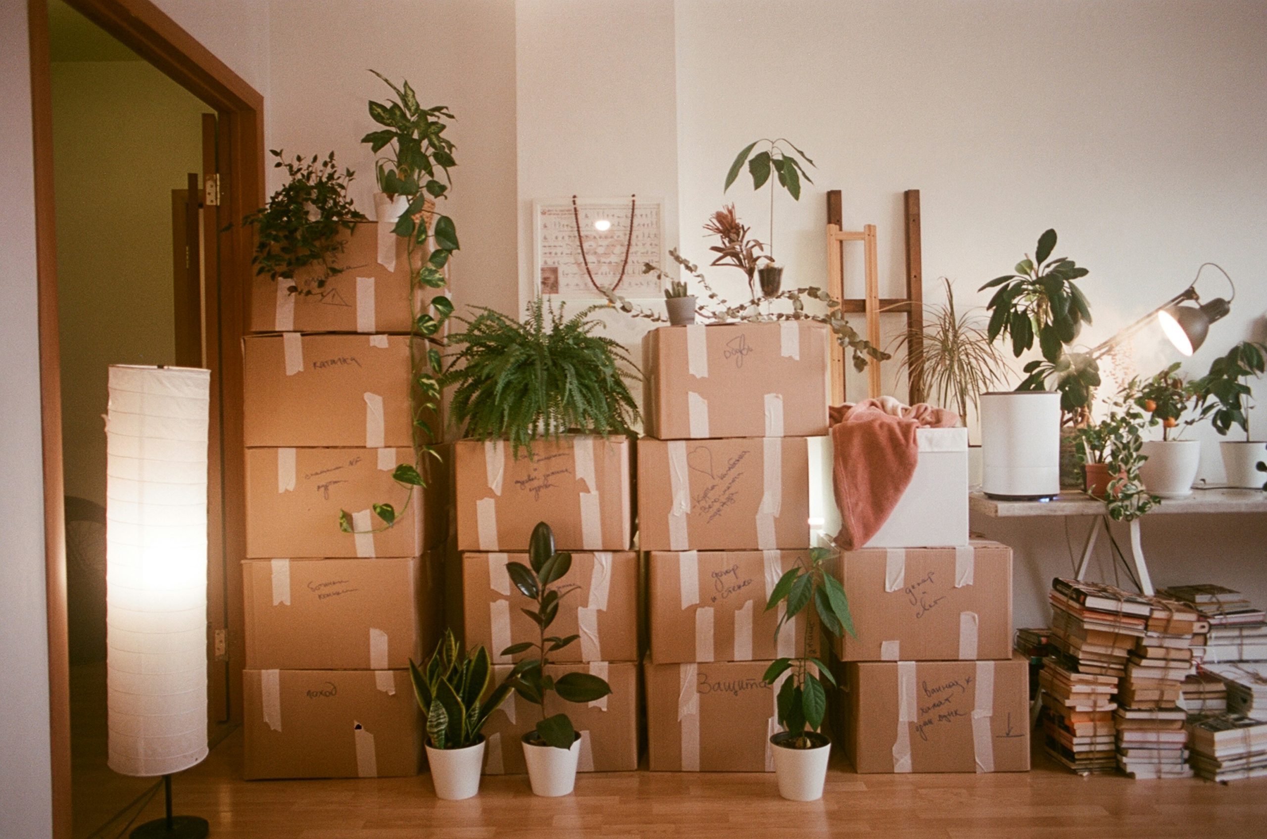 image of packed boxes representing moving house